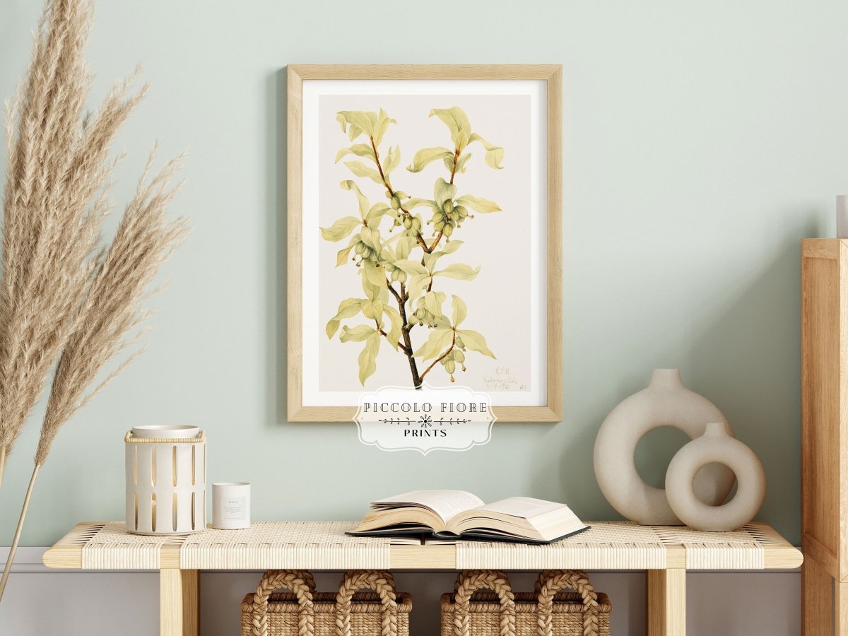 Silverberry Illustration | P350 - Single Art Prints - Piccolo Fiore Prints