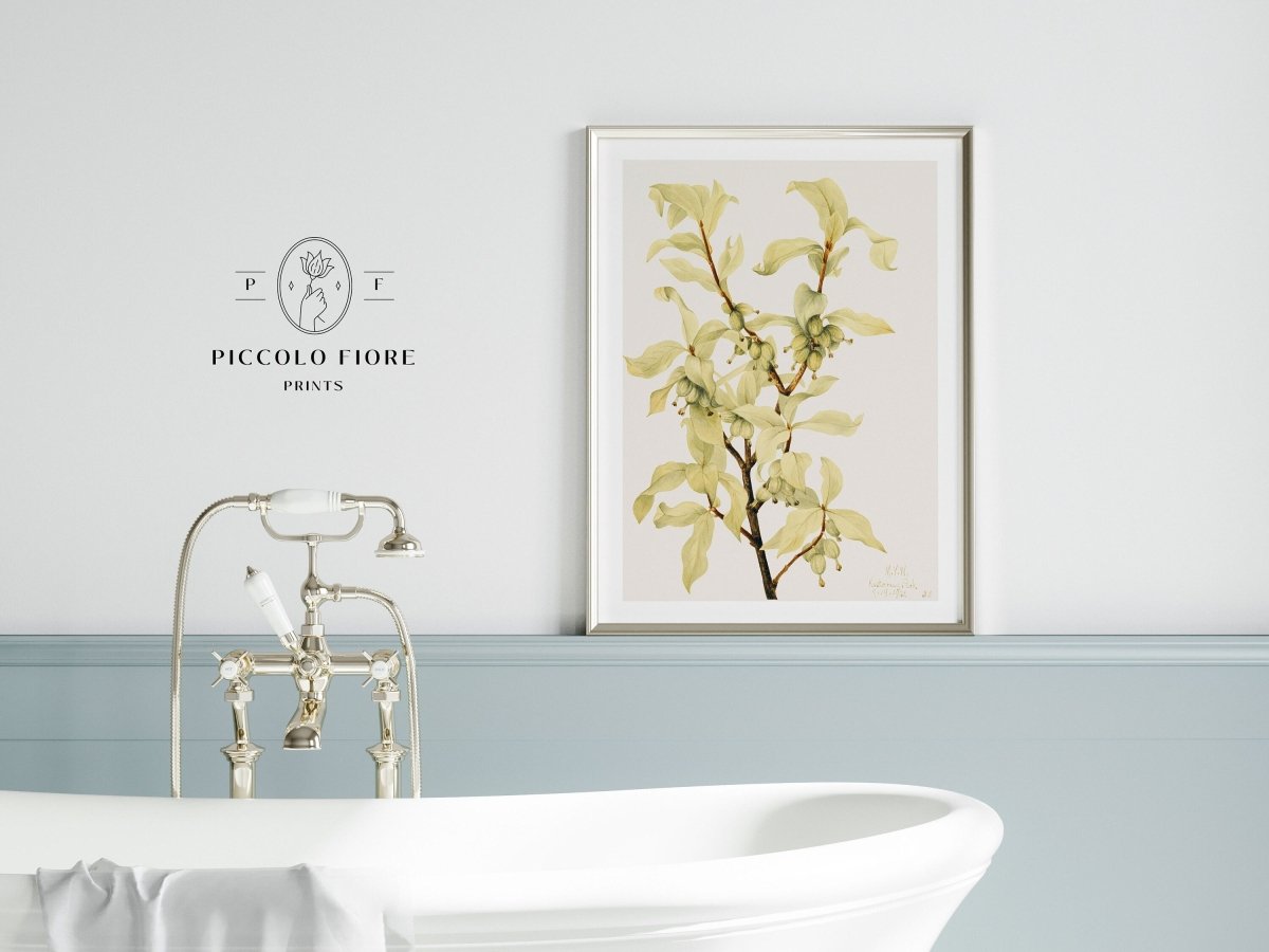Silverberry Illustration | P350 - Single Art Prints - Piccolo Fiore Prints