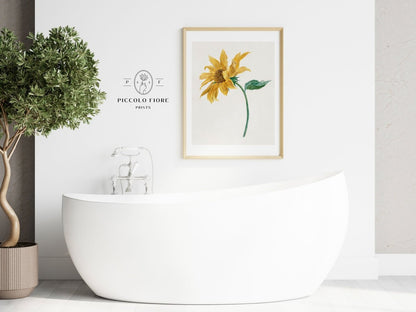 Single Sunflower | P368 - Single Art Prints - Piccolo Fiore Prints