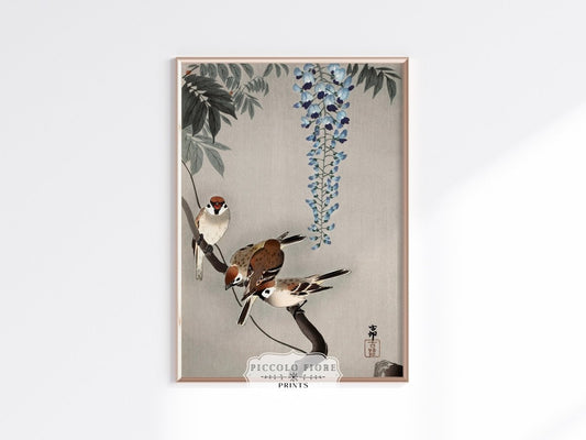 Sparrows and Wisteria | Vintage Japanese Art | P203 - Single Art Prints - Piccolo Fiore Prints