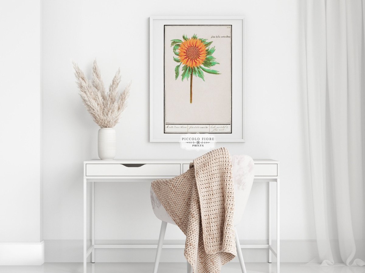 Sunflower Illustration | P364 - Single Art Prints - Piccolo Fiore Prints