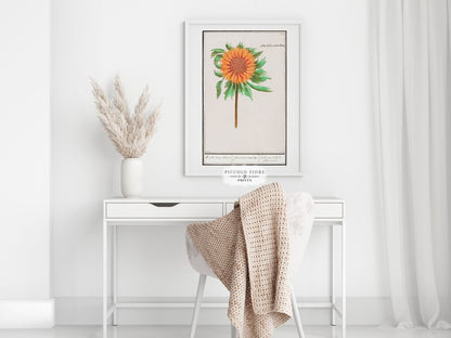 Sunflower Illustration | P364 - Single Art Prints - Piccolo Fiore Prints