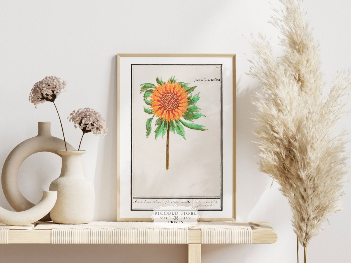 Sunflower Illustration | P364 - Single Art Prints - Piccolo Fiore Prints