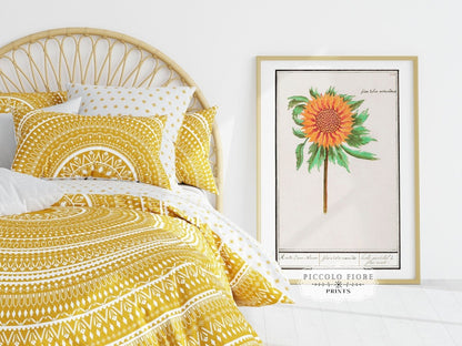 Sunflower Illustration | P364 - Single Art Prints - Piccolo Fiore Prints