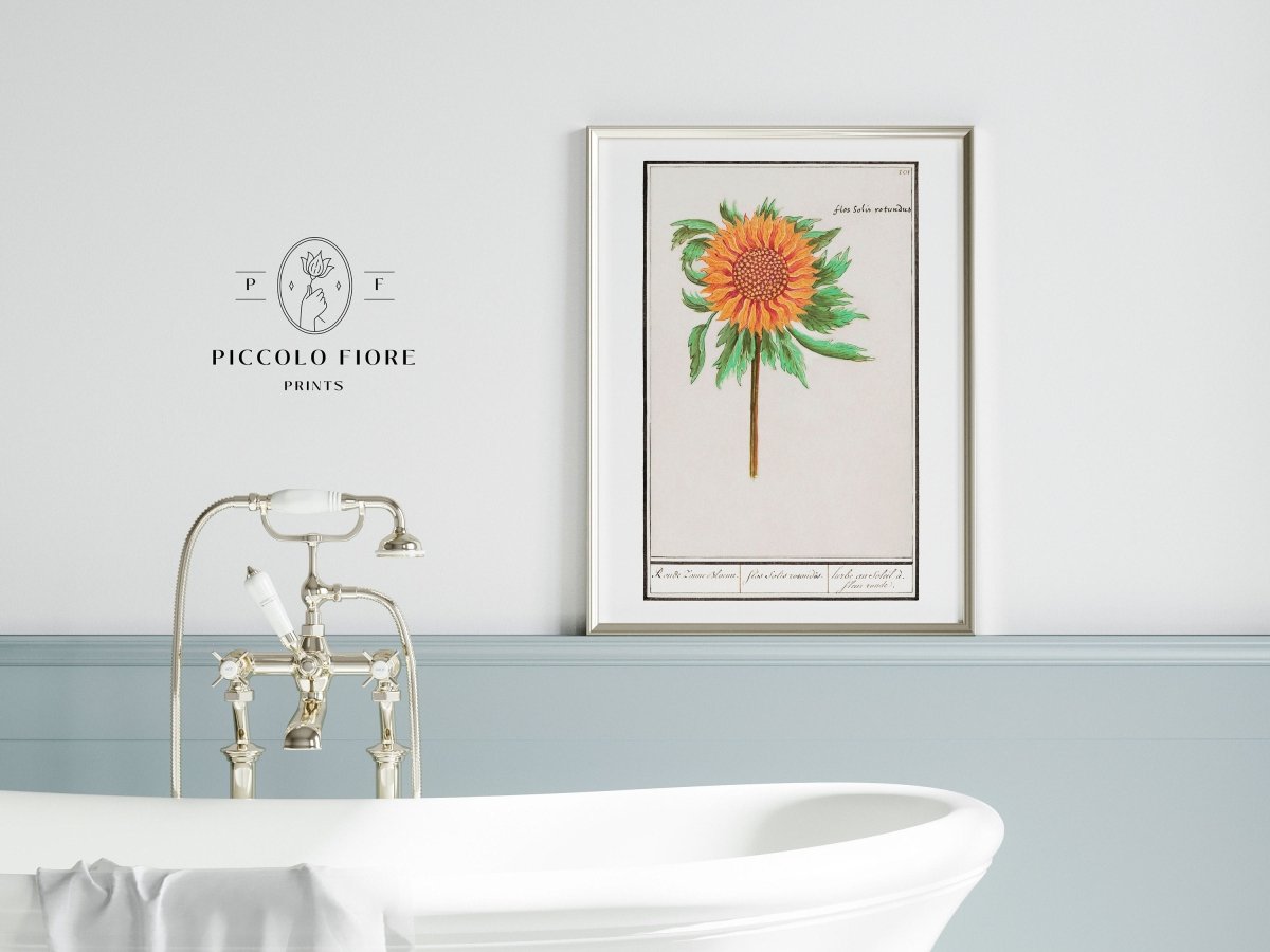 Sunflower Illustration | P364 - Single Art Prints - Piccolo Fiore Prints