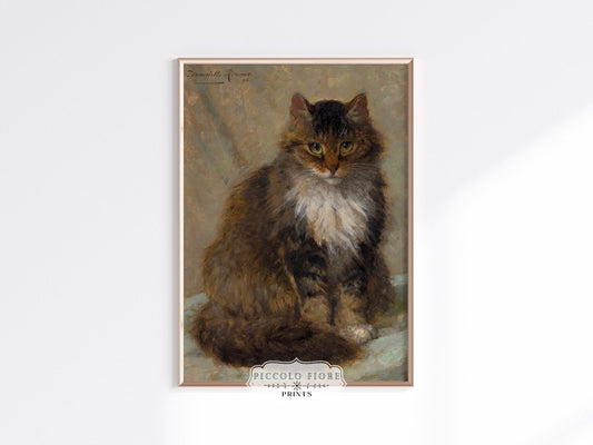 The Maine Coon | P406 - Single Art Prints - Piccolo Fiore Prints