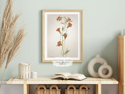 Tiger Lily (Lilium Parvum) Illustration | P372 - Single Art Prints - Piccolo Fiore Prints
