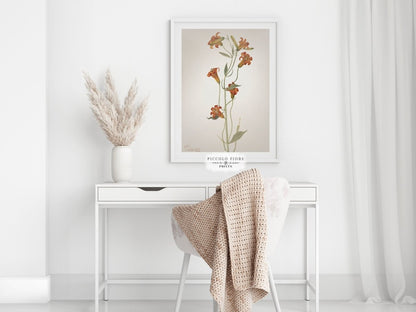 Tiger Lily (Lilium Parvum) Illustration | P372 - Single Art Prints - Piccolo Fiore Prints