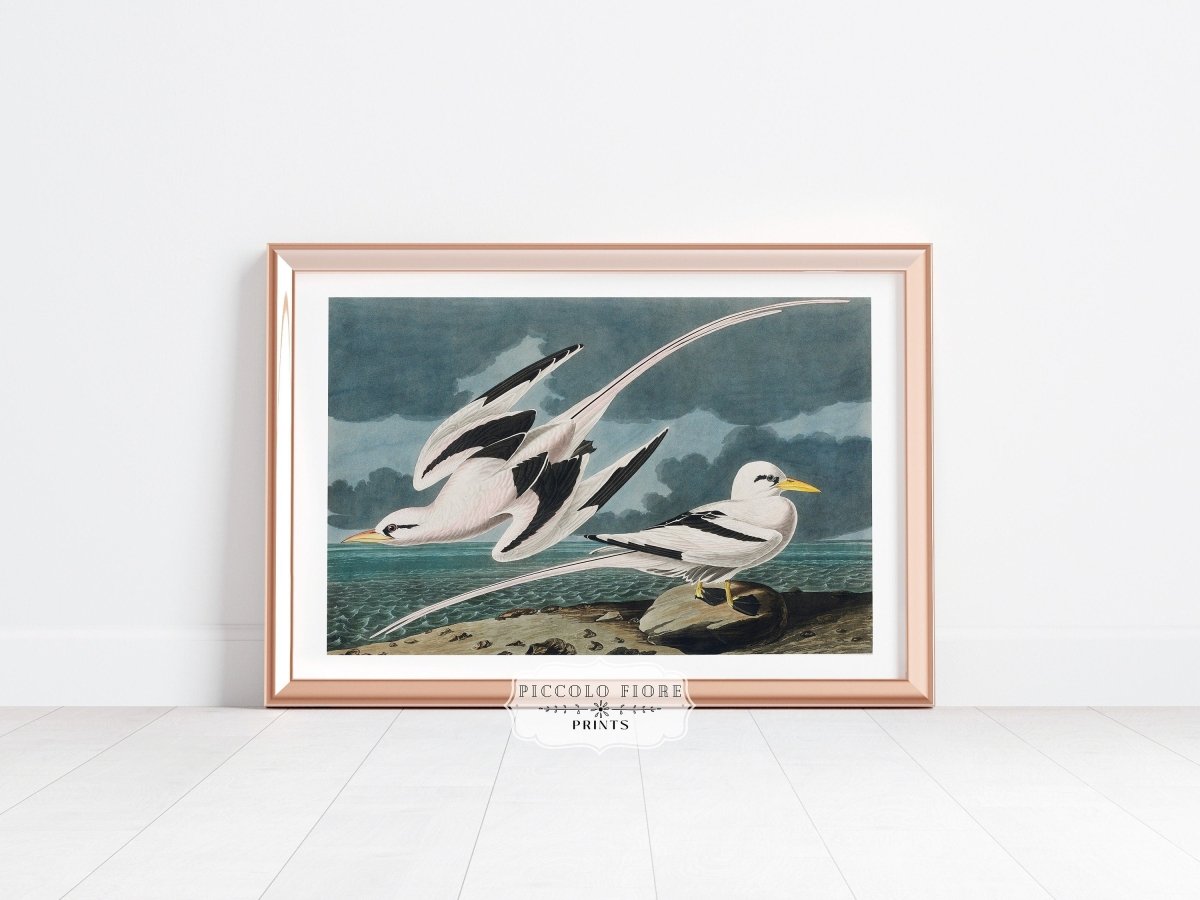 Tropical Coastline | Gallery Wall Set | 7 Prints | M7 - 4 - Gallery Wall Set - Piccolo Fiore Prints