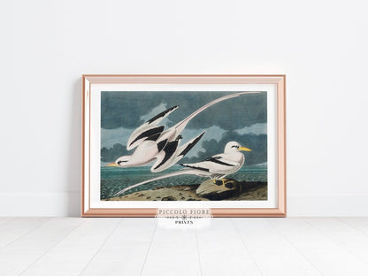 Tropical Coastline | Gallery Wall Set | 7 Prints | M7 - 4 - Gallery Wall Set - Piccolo Fiore Prints