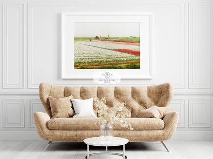 Tulip Fields | P108 - Single Art Prints - Piccolo Fiore Prints