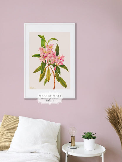 Vibrant Pink Floral | Gallery Wall Set | 5 Prints | M5 - 7 - Gallery Wall Set - Piccolo Fiore Prints