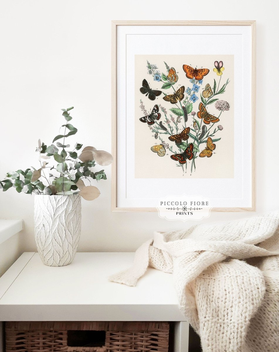 Vintage Butterfly and Caterpillar Art Print | Botanical Wall Art | Flowers and Butterflies Illustration | Instant DIGITAL DOWNLOAD | P28 - Single Art Prints - Piccolo Fiore Prints