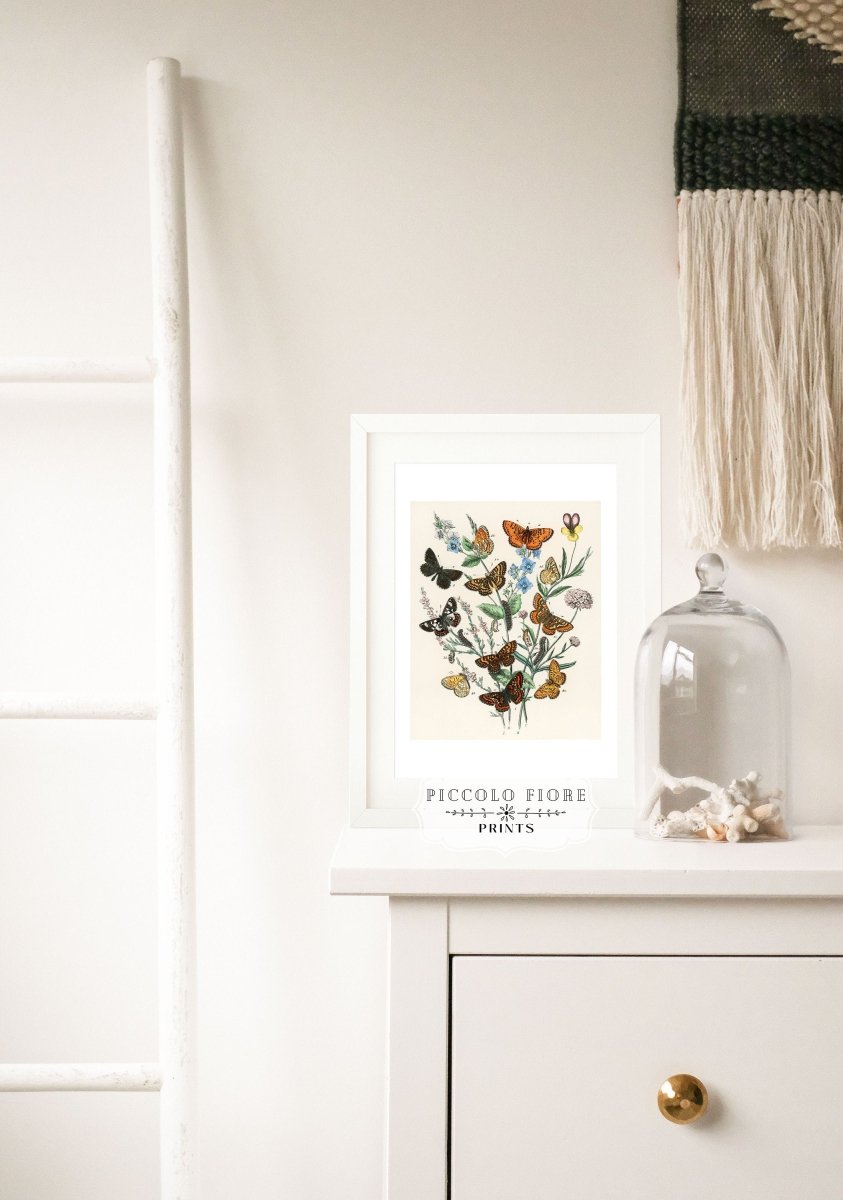 Vintage Butterfly and Caterpillar Art Print | Botanical Wall Art | Flowers and Butterflies Illustration | Instant DIGITAL DOWNLOAD | P28 - Single Art Prints - Piccolo Fiore Prints