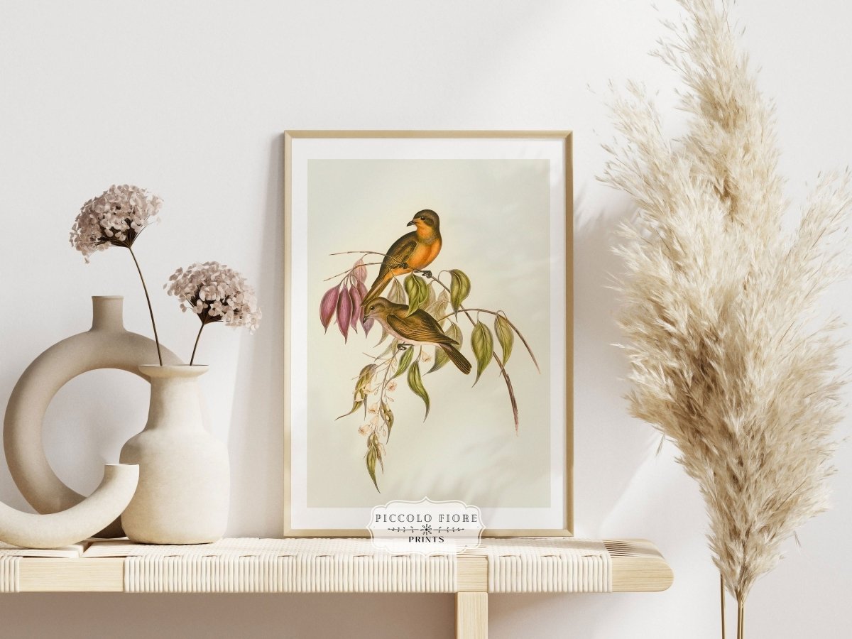 Whistler Bird Illustration | P327 - Single Art Prints - Piccolo Fiore Prints