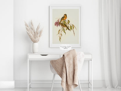 Whistler Bird Illustration | P327 - Single Art Prints - Piccolo Fiore Prints