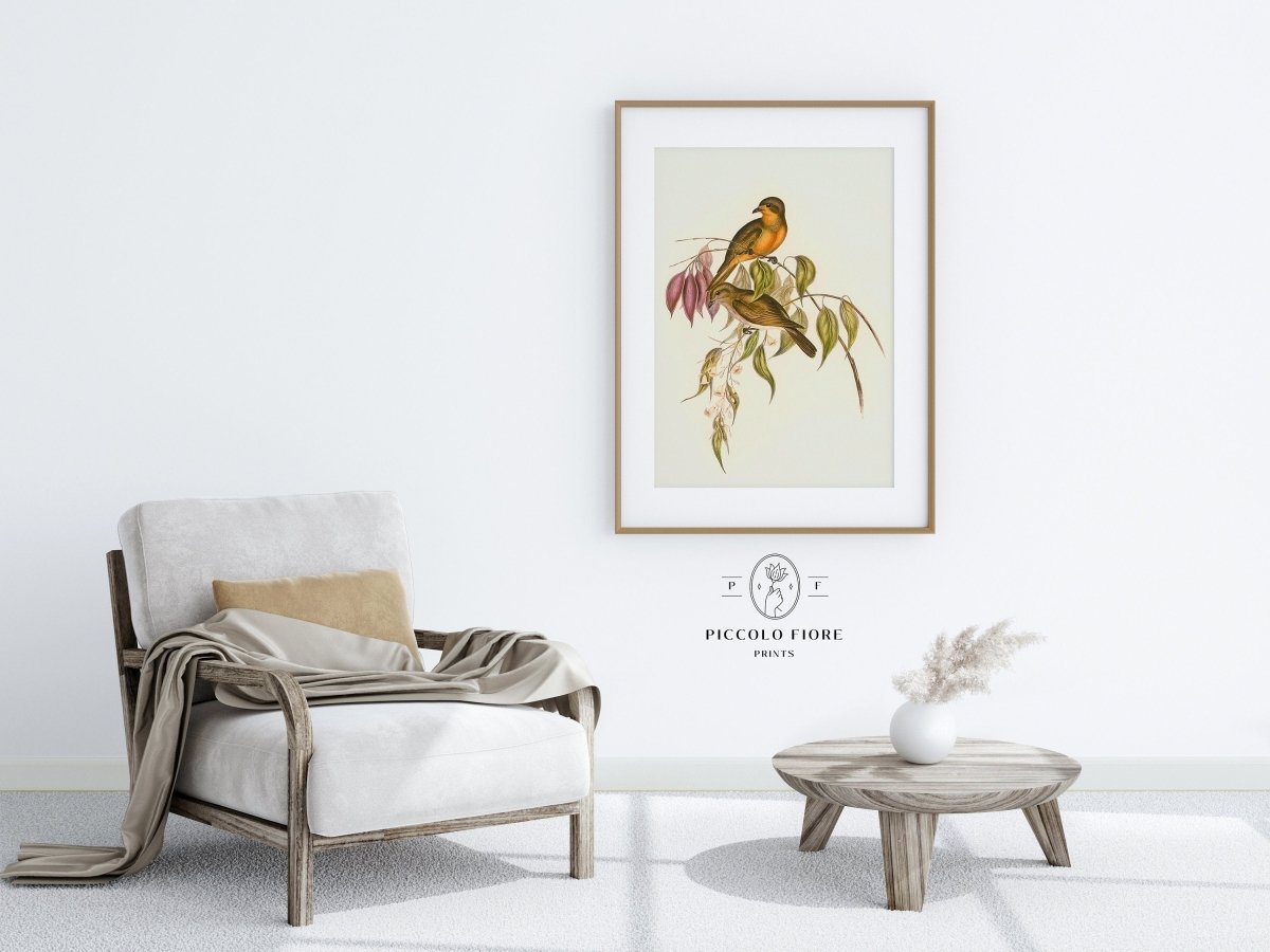 Whistler Bird Illustration | P327 - Single Art Prints - Piccolo Fiore Prints
