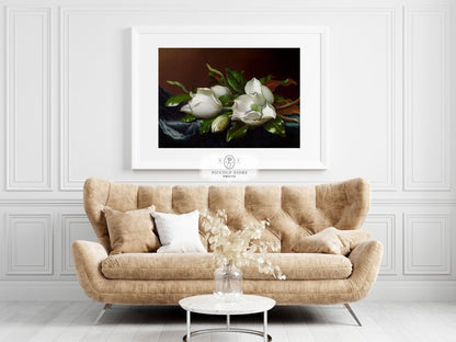 White Magnolias on Blue Velvet Cloth | P349 - Single Art Prints - Piccolo Fiore Prints
