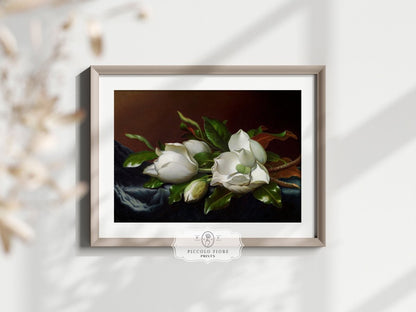 White Magnolias on Blue Velvet Cloth | P349 - Single Art Prints - Piccolo Fiore Prints