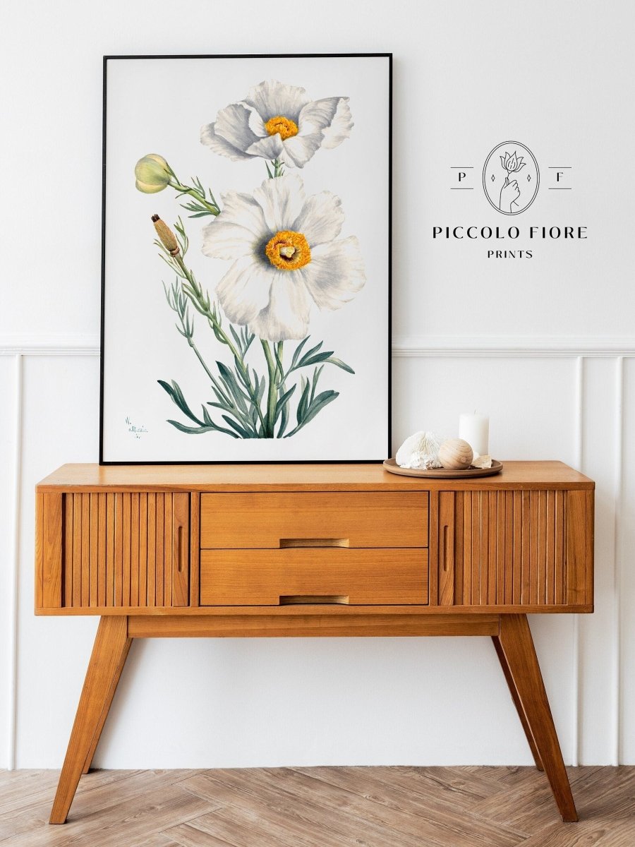 White Poppy Illustration | P79 - Single Art Prints - Piccolo Fiore Prints