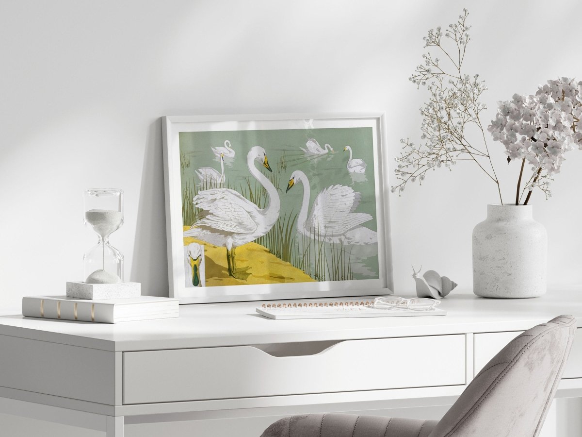 White Swans | P351 - Single Art Prints - Piccolo Fiore Prints