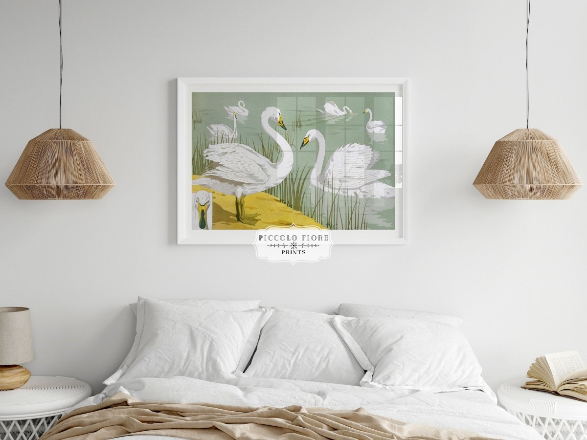 White Swans | P351 - Single Art Prints - Piccolo Fiore Prints