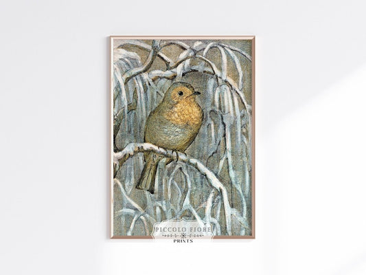 Winter Robin | P381 - Single Art Prints - Piccolo Fiore Prints