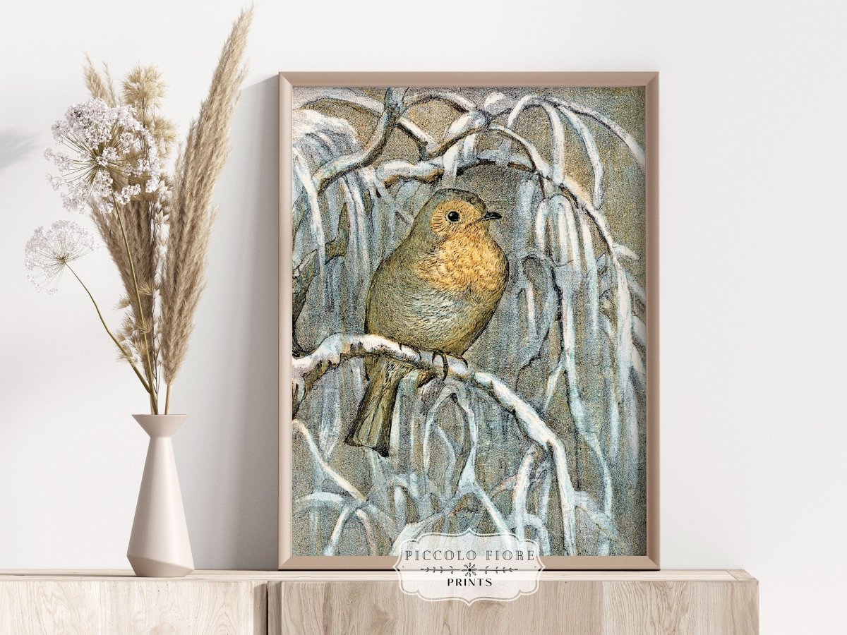 Winter Robin | P381 - Single Art Prints - Piccolo Fiore Prints